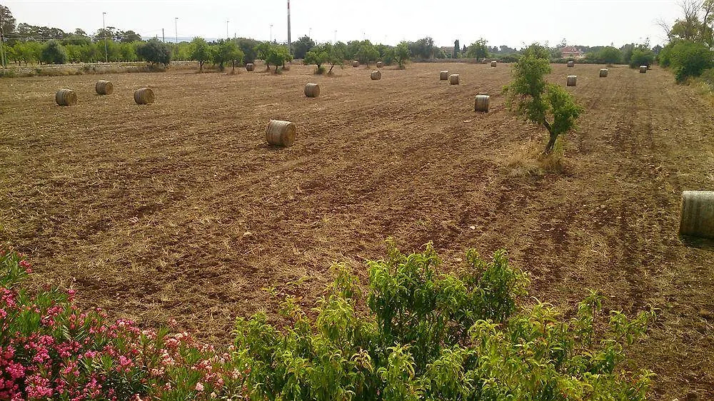***  Bed and Breakfast Il Mirto E La Rosa Agrigento Italia